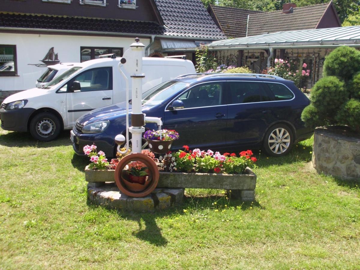 Apartmán Koje Born Exteriér fotografie